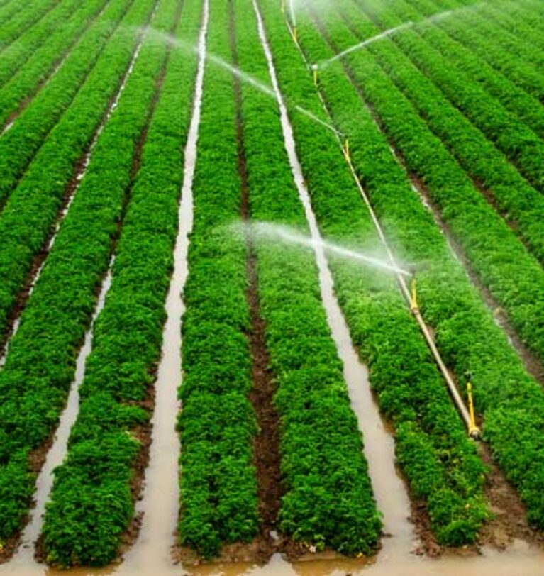 What is irrigation?